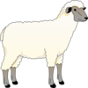 Sheep Side View Clip Art